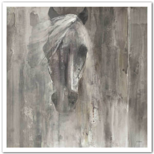 Affiche Cheval blanc aquarelle Affiche seule