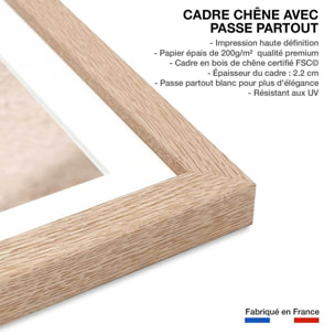 Poster coquillage Affiche + cadre en bois - Chêne