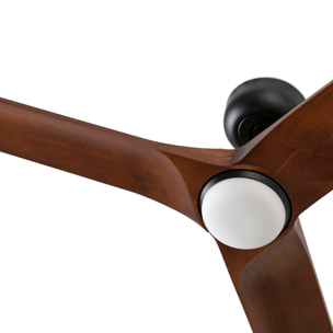 HEYWOOD S LED Ventilador de techo negro/madera oscura