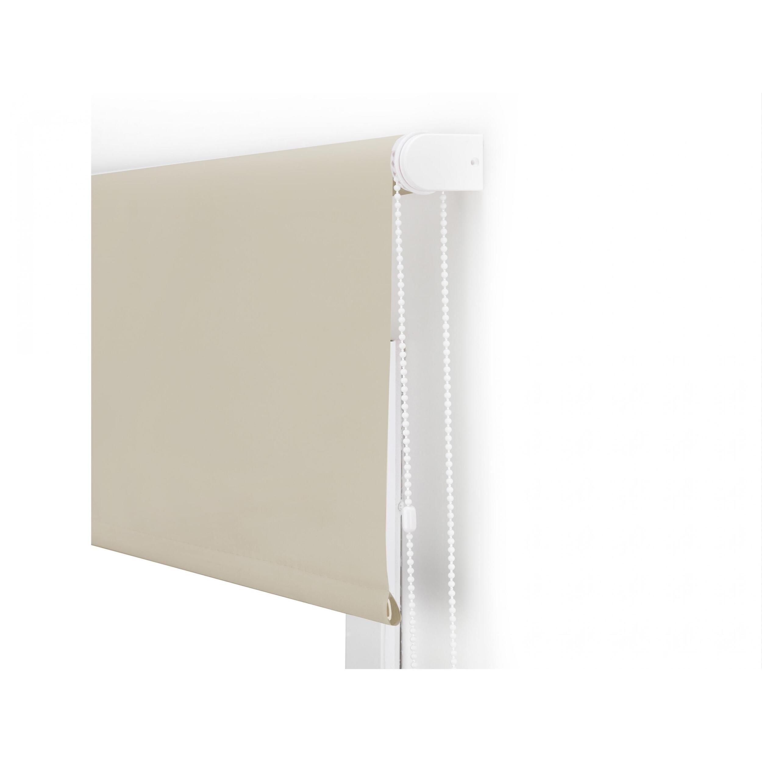 Store enrouleur Polyester Translucide 100x250