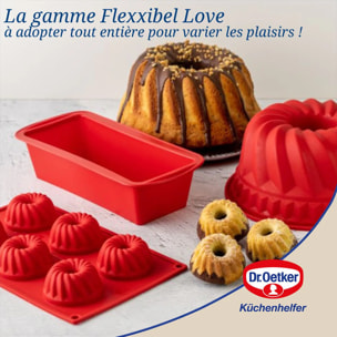 Moule à kougelhofs 6 empreintes 30 cm Dr.Oetker Flexxibel Love