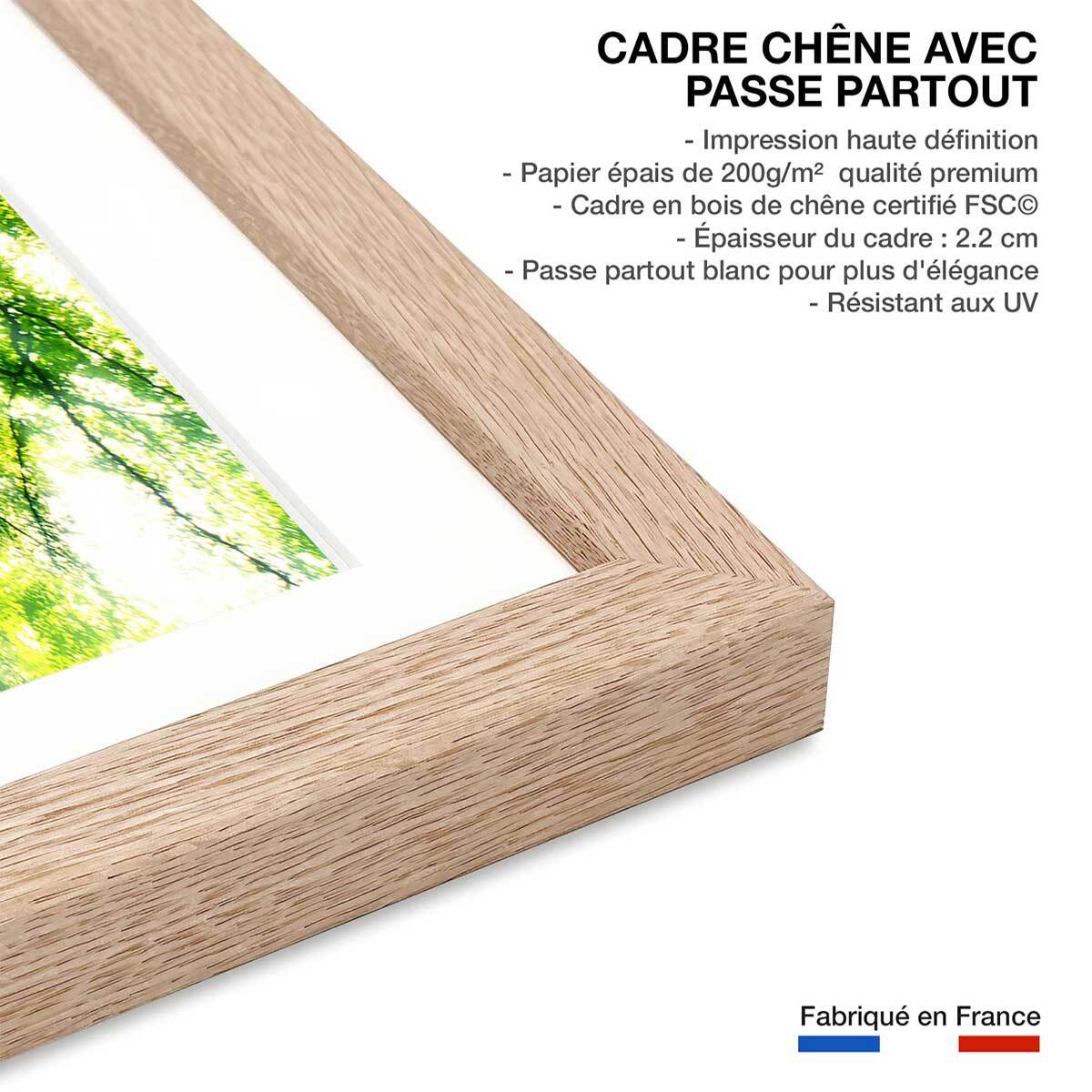 Affiche nature l 'hêtre de ponthus Affiche + cadre en bois - Chêne