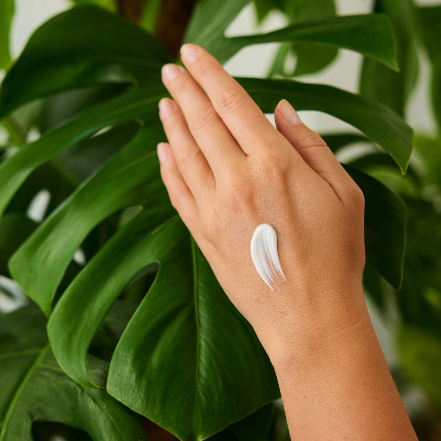 WELEDA - Duo Crème Mains et Ongles nourrissante au Citrus - Nourrit et répare - Certifié Natrue**- Tube 50 ml  x 2