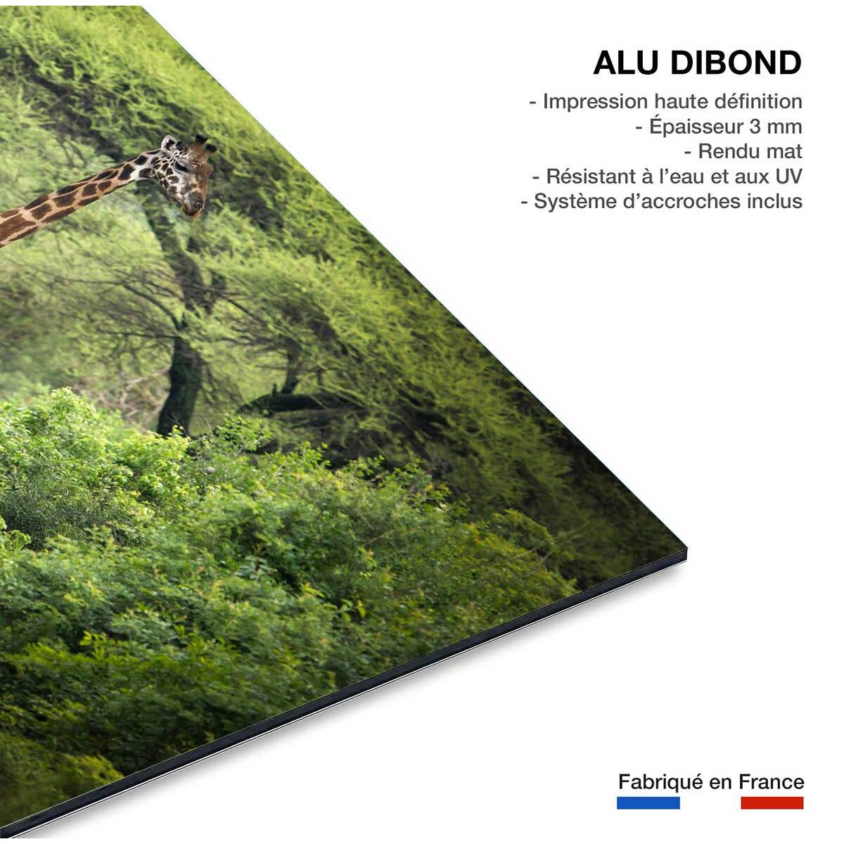 Tableau Girafe inattendue Tableau alu Dibond