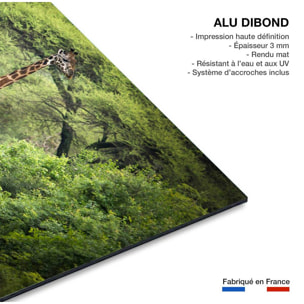 Tableau Girafe inattendue Tableau alu Dibond