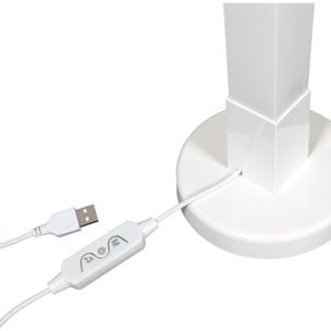 Tube Led 151cm Avec Telecommande A Monter