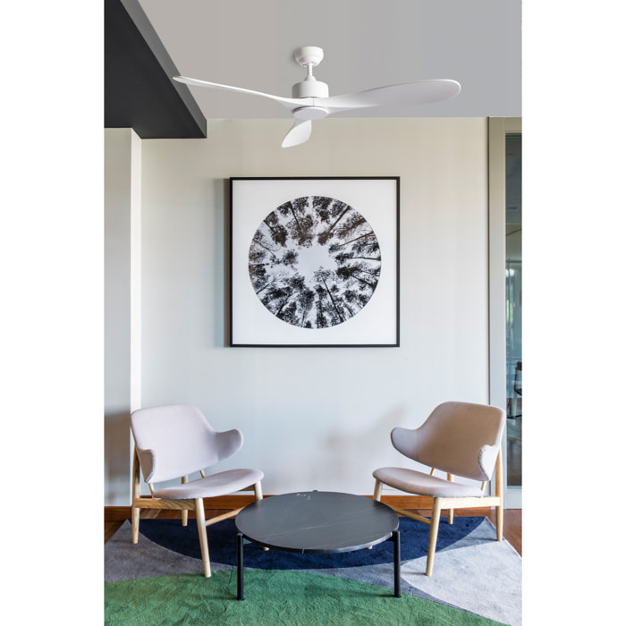 LUZON L Ventilateur de plafond blanc TUYA