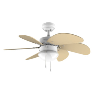 Cecotec Ventilateur de plafond EnergySilence 3600 Vision SunLight 50 W, diamètre