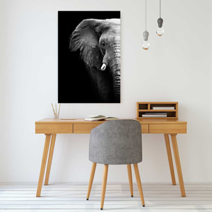 Tableau photo éléphant Tableau alu Dibond