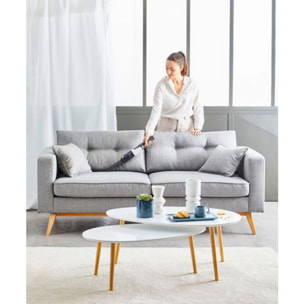 Aspirateur main ROWENTA AC9736WO sans fil