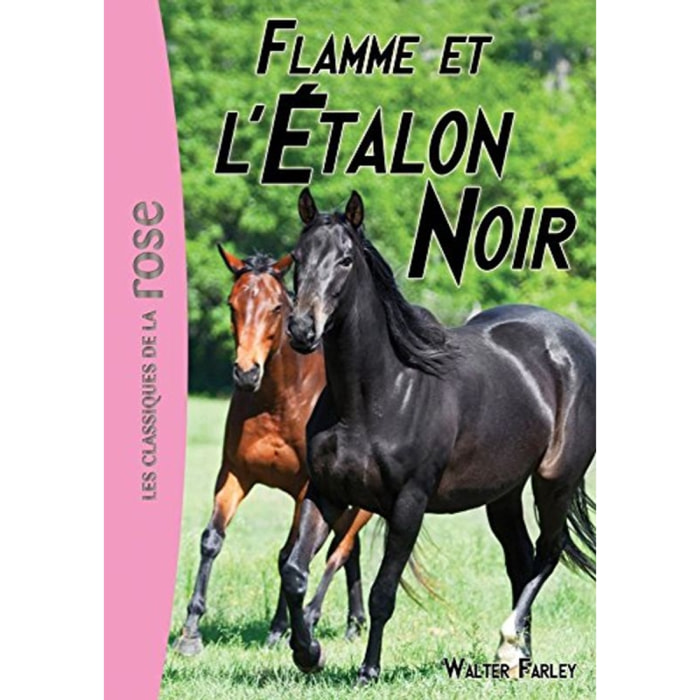 Farley, Walter | L'Étalon Noir 17 - Flamme et l'Étalon Noir | Livre d'occasion