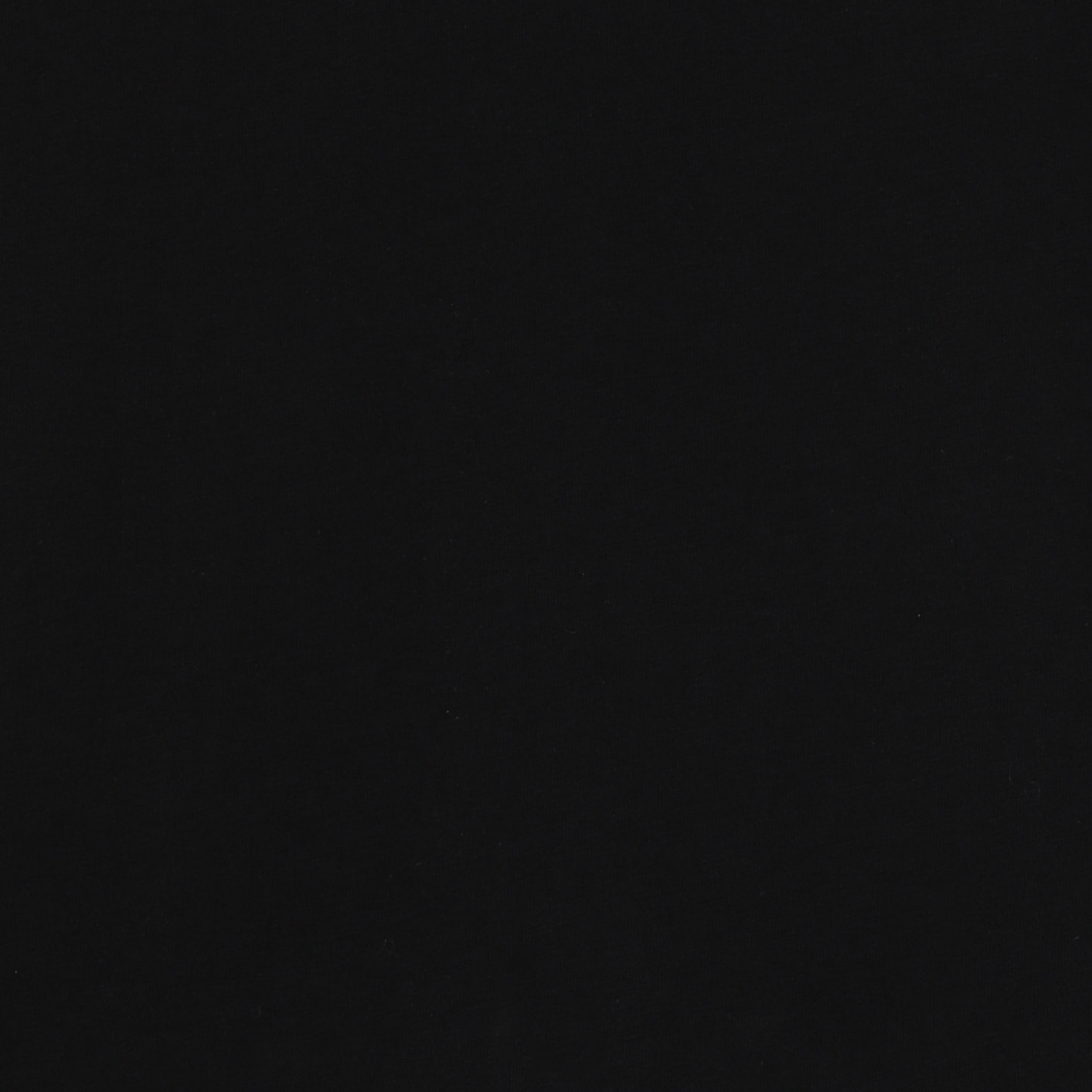 T-shirt Regular con Scollo girocollo e logo in tono colore