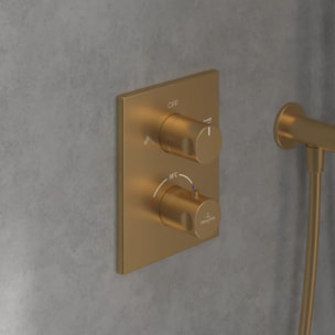 Façade thermostatique 2 voies Universal rectangle Brushed Gold + corps encastré