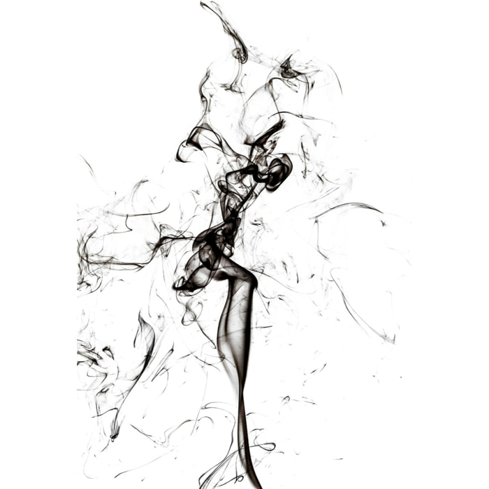 Tableau  black smoke tulip dream Toile imprimée