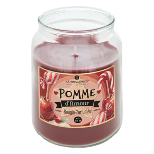 Bougie parfumée Eloa 490g
