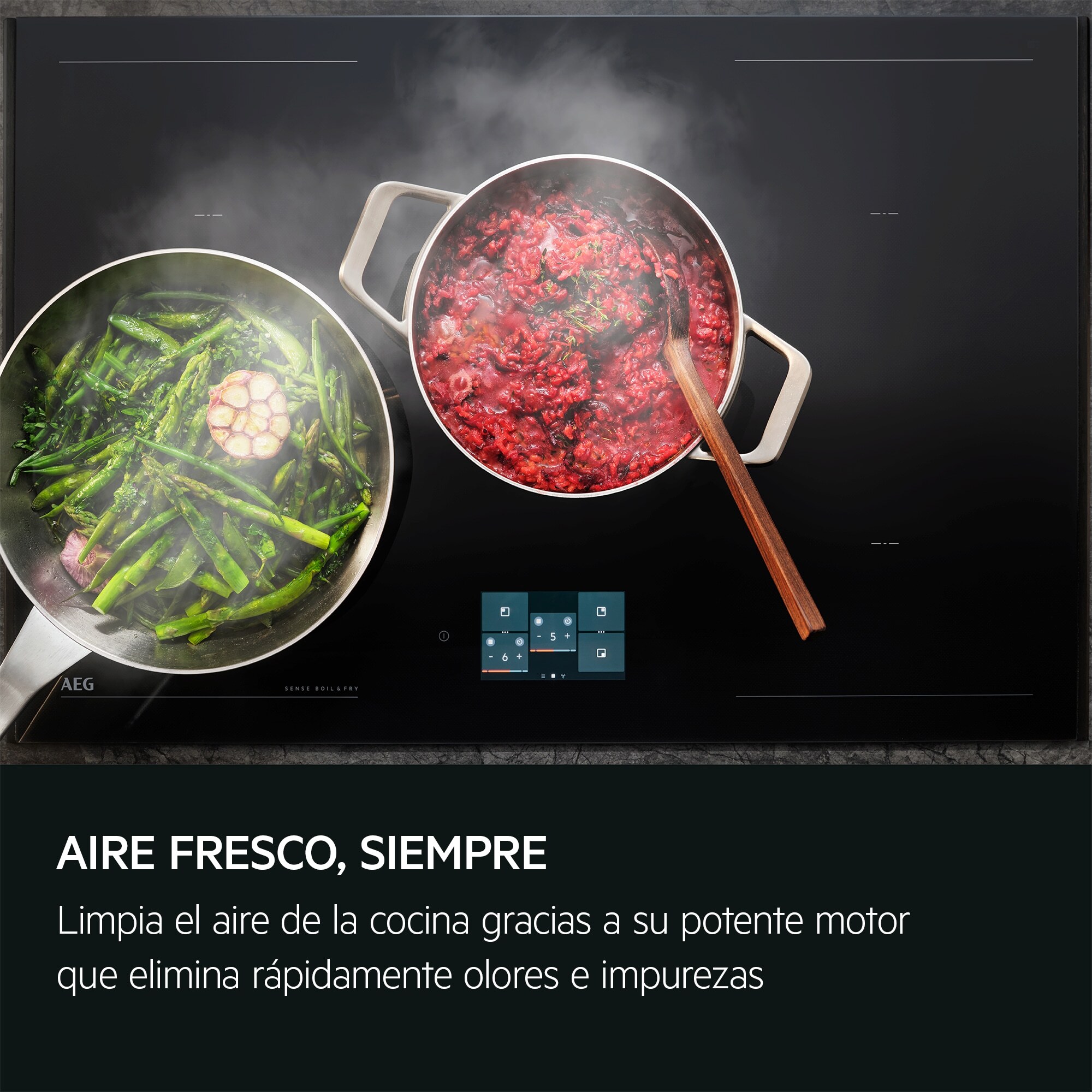 AEG Campana extractora de pared Serie 5000 ExtractionTech de 60 cm DBB3651M