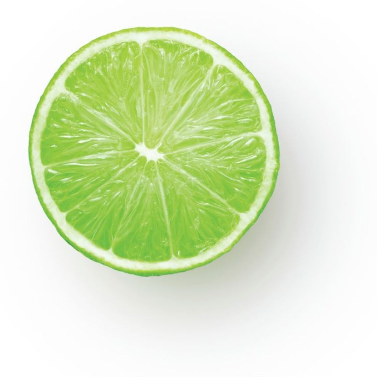 Presse-agrumes SAGE APPLIANCES the Citrus Press Pro