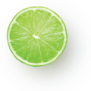 Presse-agrumes SAGE APPLIANCES the Citrus Press Pro