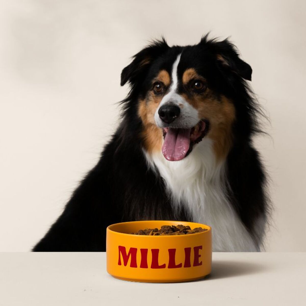 Machine de découpe CRICUT Bundle Joy Xtra Lavande