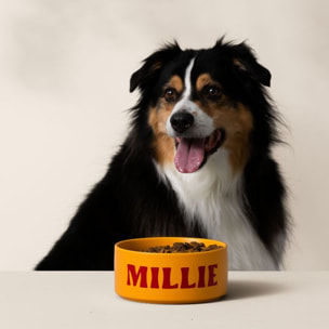 Machine de découpe CRICUT Bundle Joy Xtra Lavande