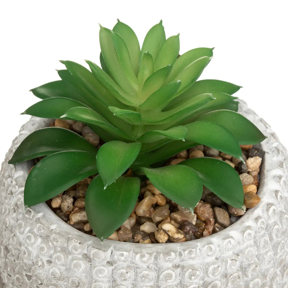 Plante artificielle Bouddha pot ciment H13,5cm