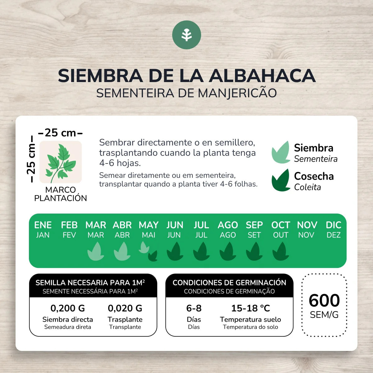 Semillas de Albahaca Genovesa ecológicas Planeta Huerto