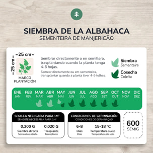 Semillas de Albahaca Genovesa ecológicas Planeta Huerto
