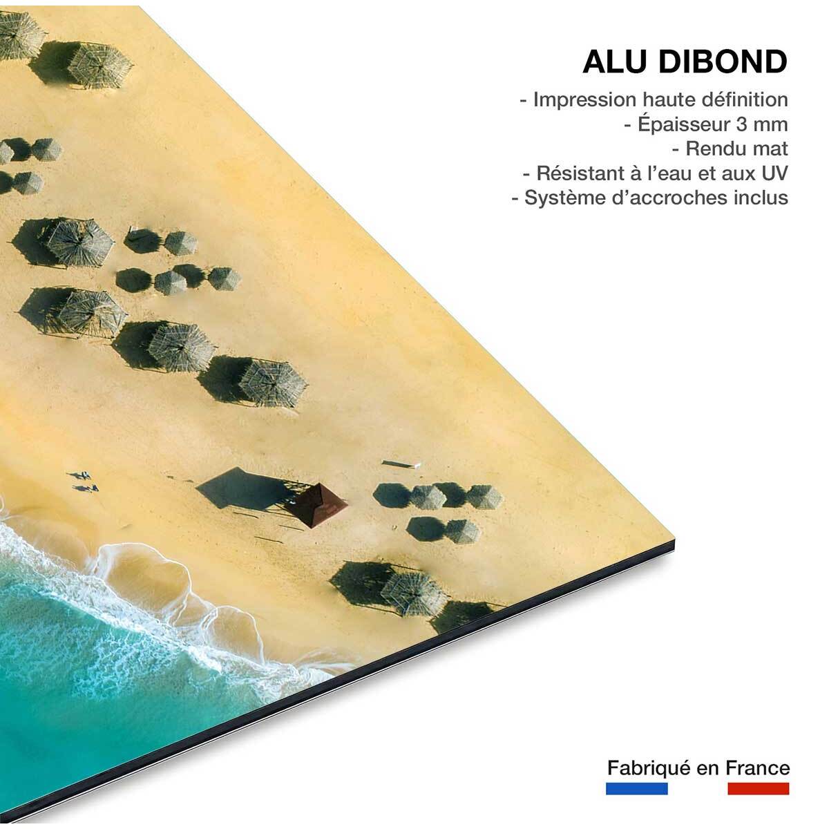 Tableau paillote du pacifique Tableau alu Dibond