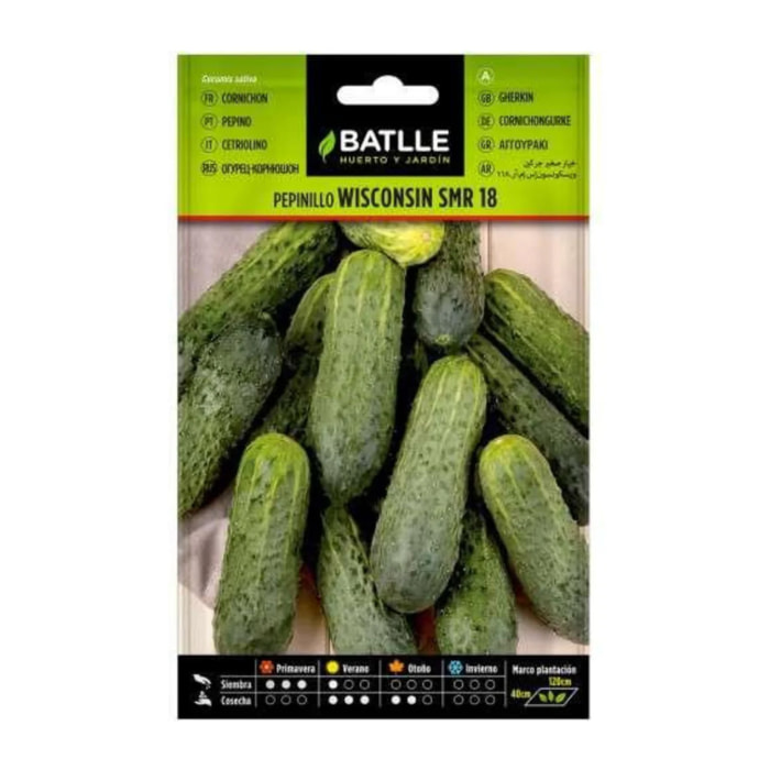 Semillas de Pepinillo Wisconsin SMR 18 Batlle