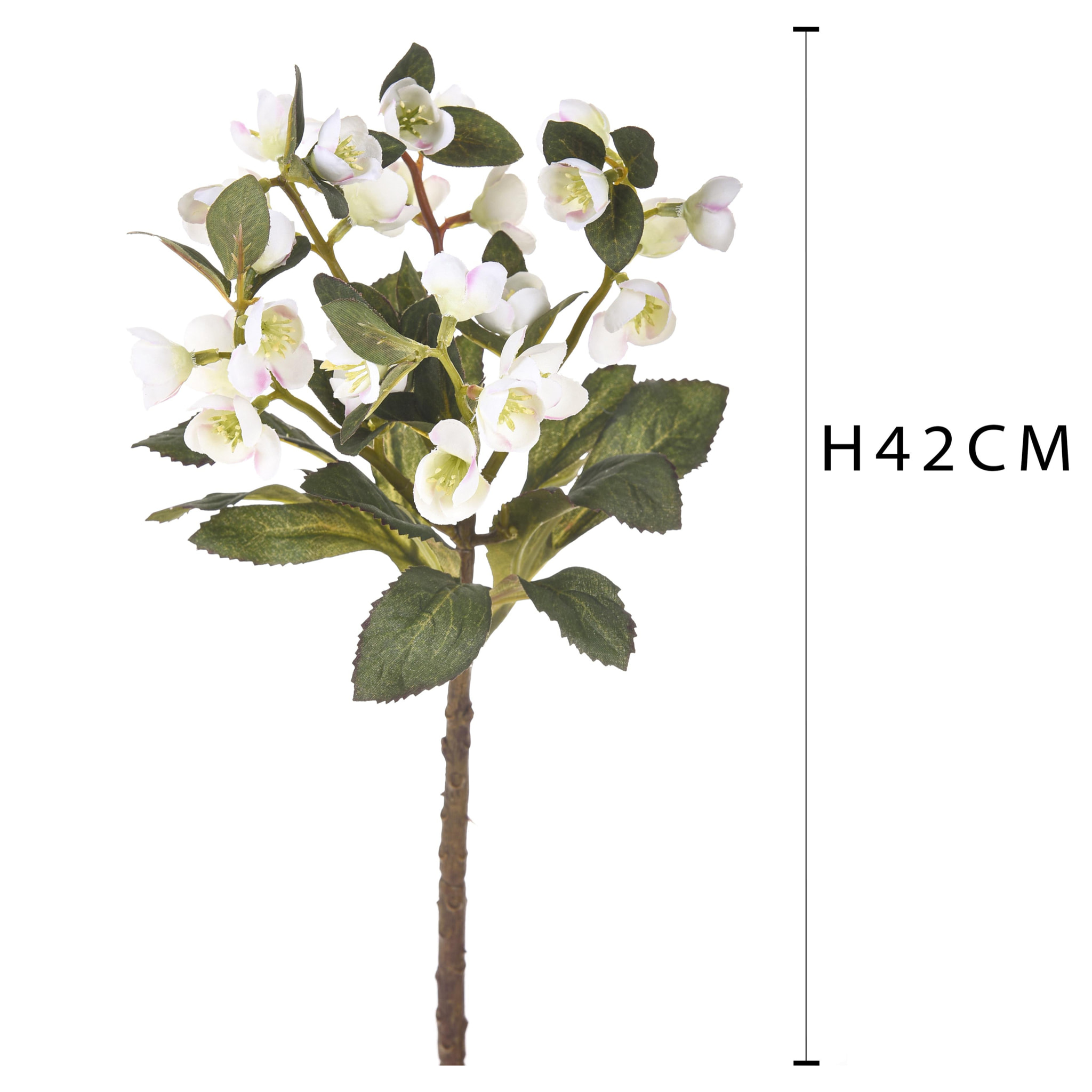 Ramo Di Helleborus. Altezza 42 Cm - Pezzi 6 - 8X42X7cm - Colore: Bianco - Bianchi Dino - Fiori Artificiali