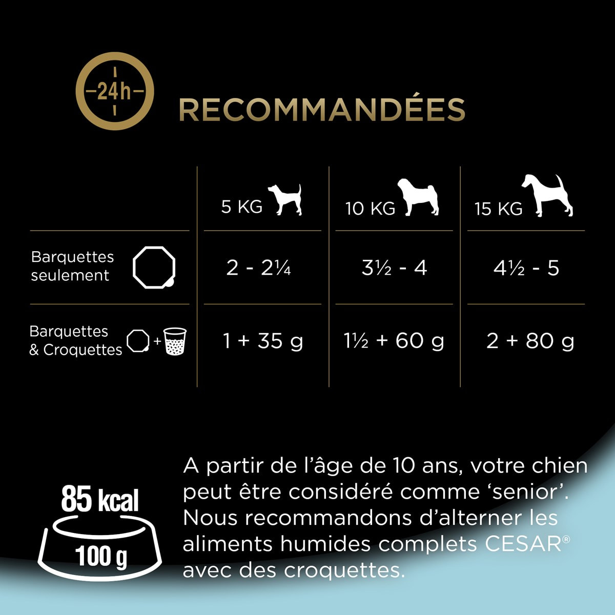 CESAR 32 Barquettes en gelée 4 variétés pour chien senior 150g (8x4)