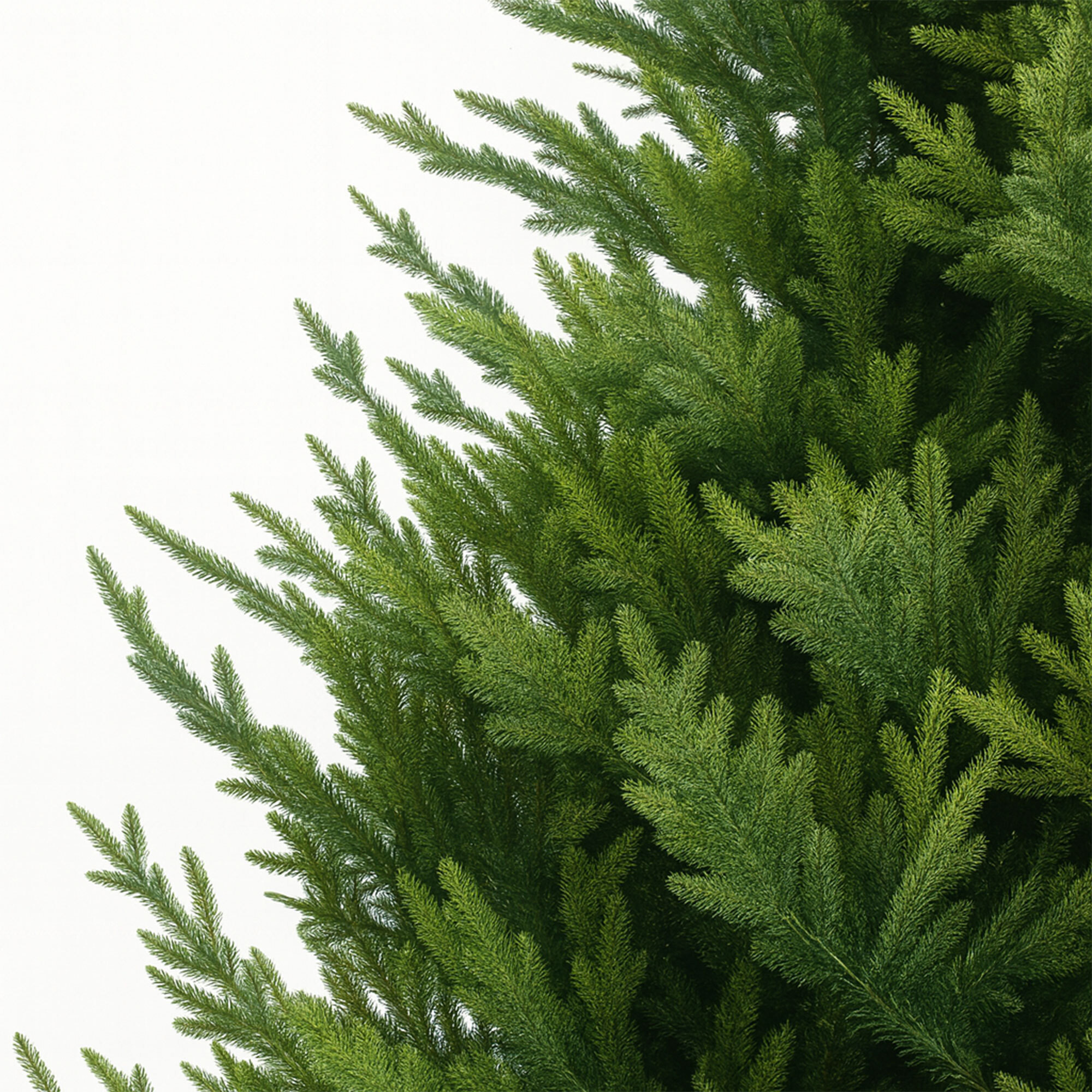 Rockfeller - Albero di Natale effetto realistico in PE e PVC ø135x180H, 1248 Punte