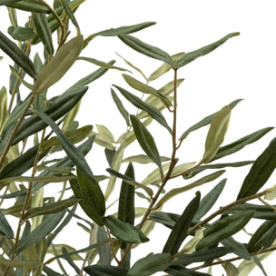 Olivier artificiel "Martin" pot en céramique H210cm