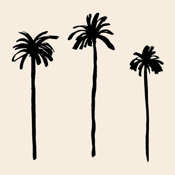 Tableau three black palm tree Toile imprimée