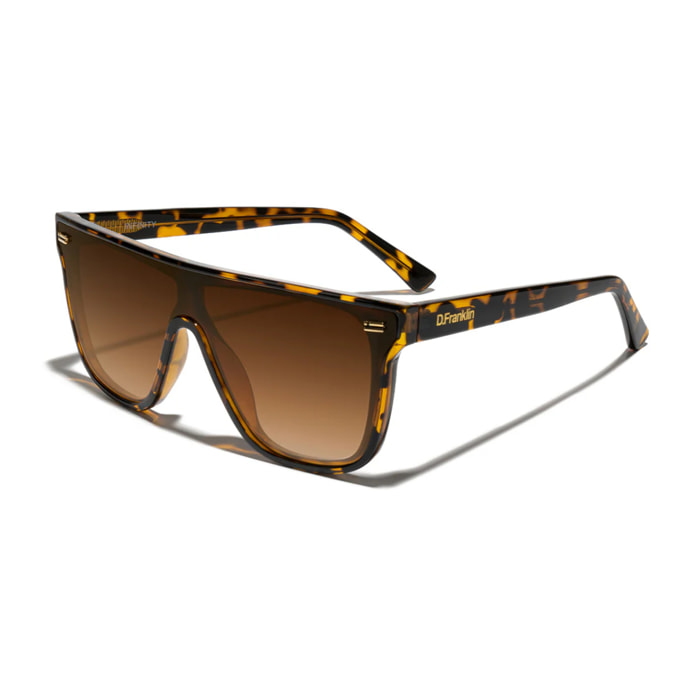 Gafas de Sol Infinity Carey / Gradient Brown D.Franklin