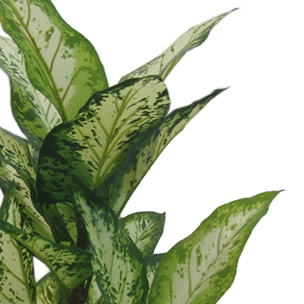 Aglaonema In Vaso Con 22 Foglie. Altezza 100 Cm - Pezzi 1 - 53X93X53cm - Colore: Verde - Bianchi Dino - Piante Artificiali