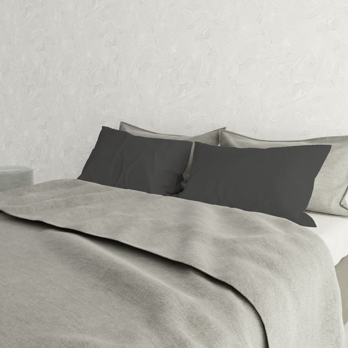 COPPIA FEDERE ELEGANT