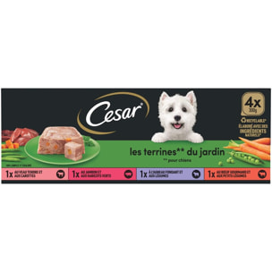CESAR Barquettes en terrine 4 variétés pour chien 300g (4x4)