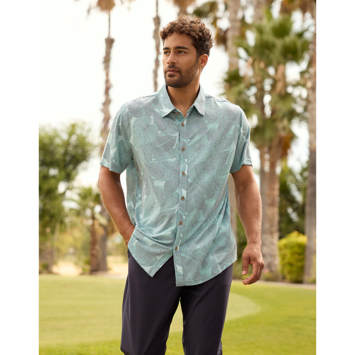 Camisa Manga Corta Verde - Folded