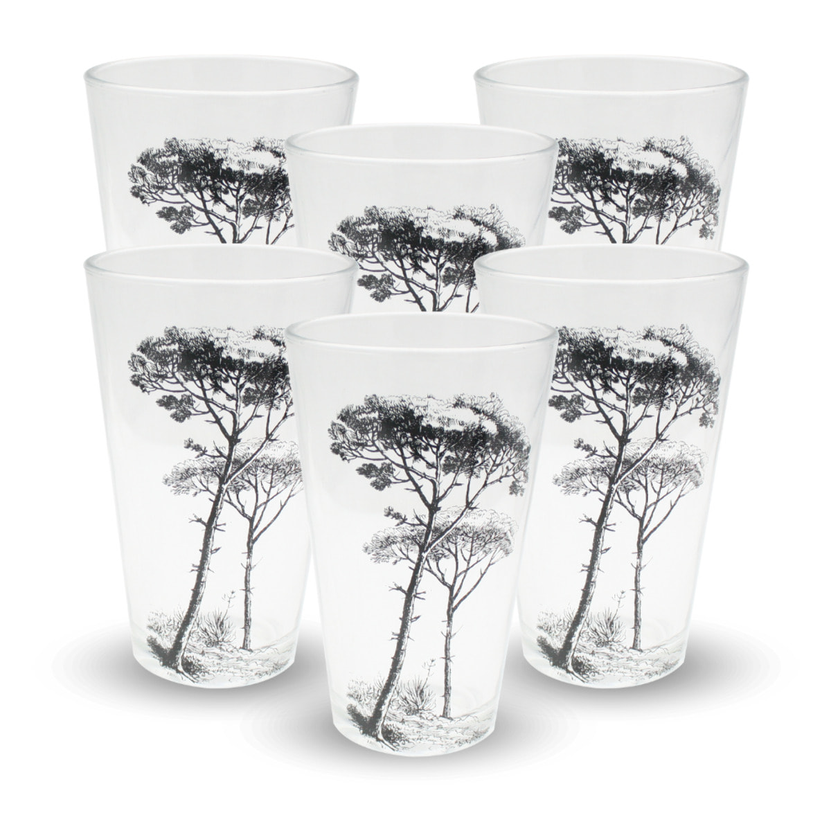 Lot de 6 verres, VILLA LES PINS