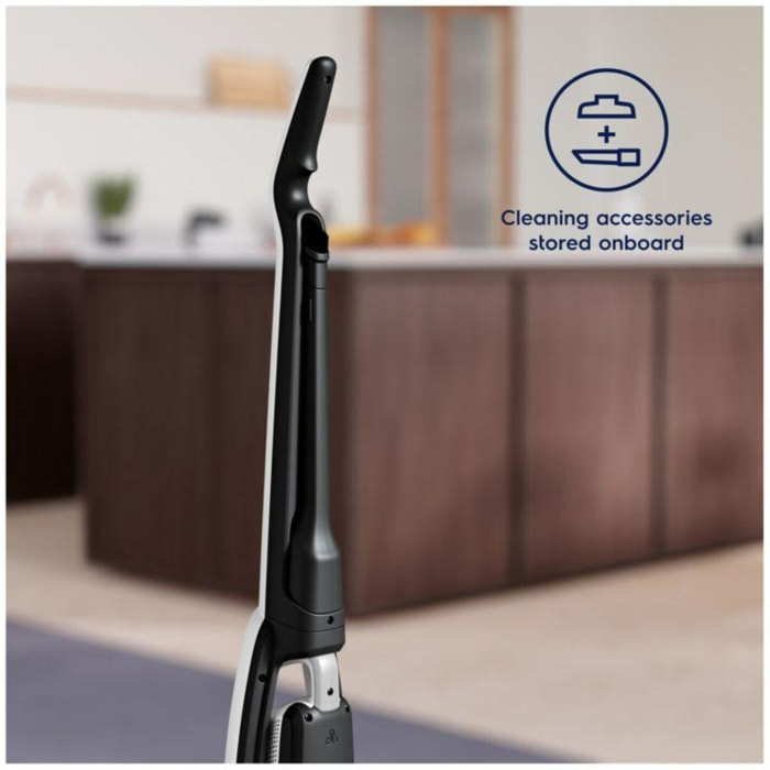 Aspirateur balai electrolux wq81 palrg ELECTROLUX Pas Cher 