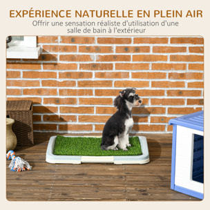 Litière gazon synthétique chien toilette portable à pelouse tiroir à déjection dim. 63L x 48l x 6H cm