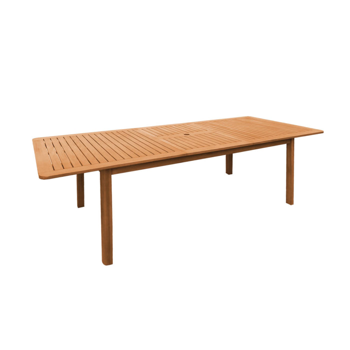 Table de jardin extensible bois d'eucalyptus 6-8 places ARBO