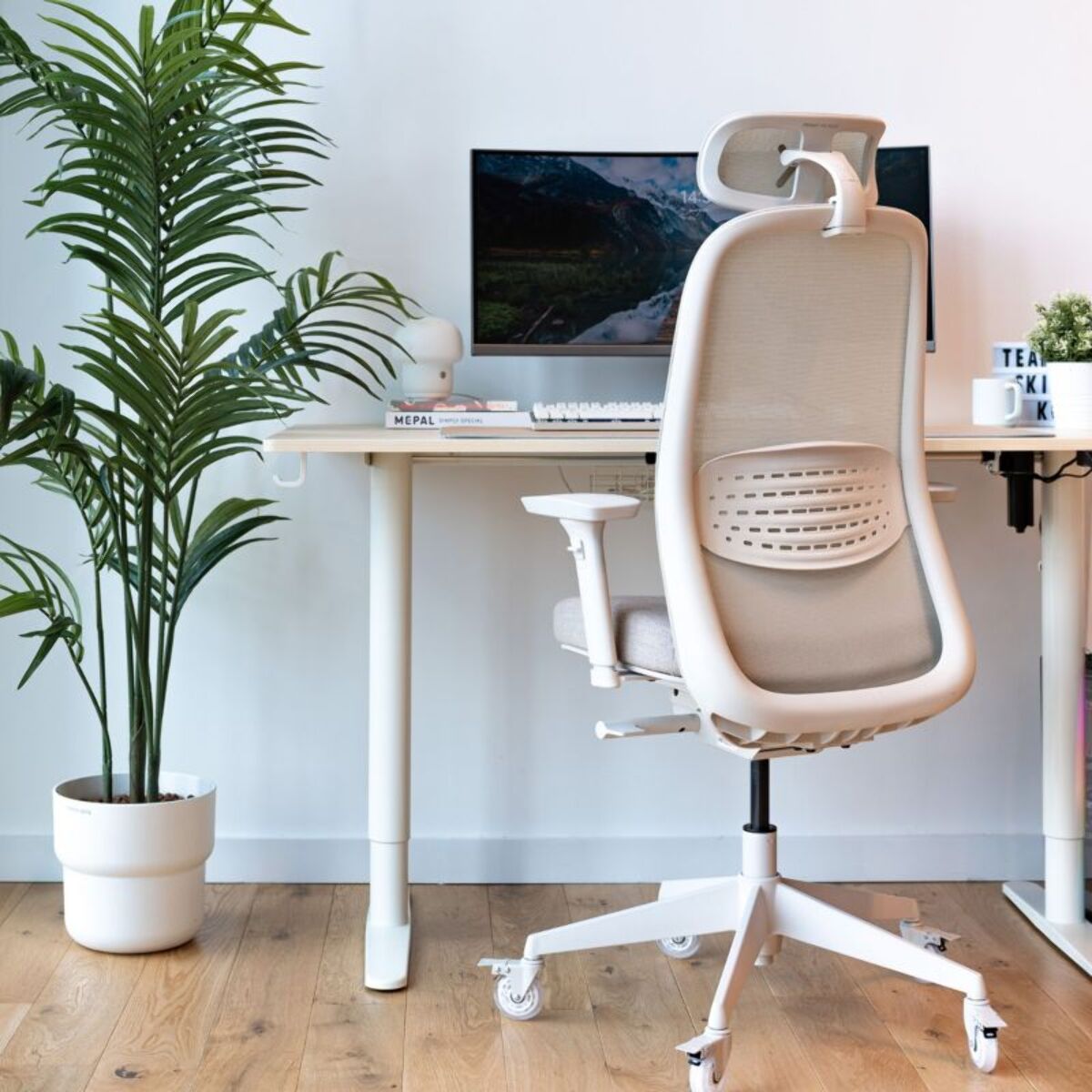 Chaise gaming SKILLKORP C15 Ergo Beige Progress