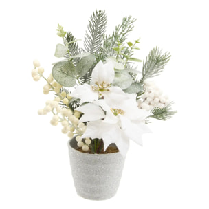 COMPO POINSETTIA BLANC H29