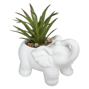 Plante artificielle "Éléphant" - pot en ciment - H10 cm