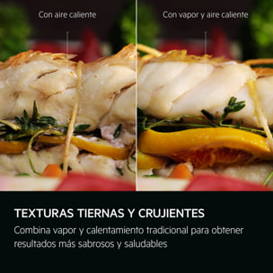 AEG Horno de vapor Serie 6000 SenseCook con SteamCrisp con Display LED Explore V7PBR521SB