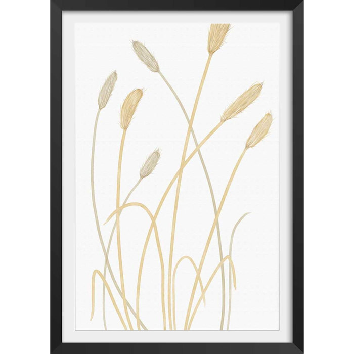 Affiche  scandi blés 2 Affiche + cadre en bois - Noir