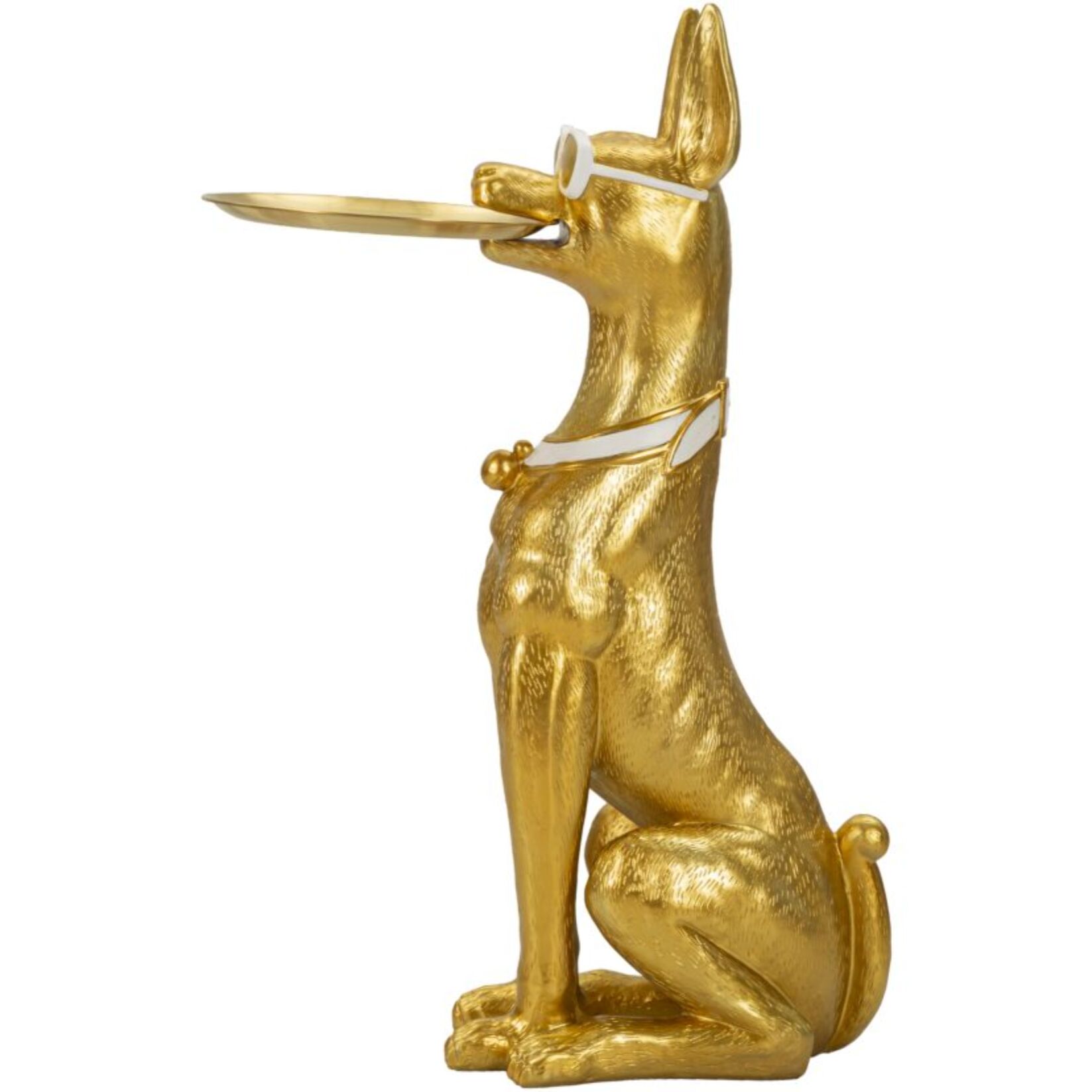 CANE PIT S/TASCHE CM 30X64X91