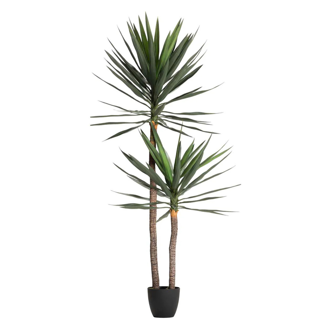 Planta Yucca 90x70x180 Cm